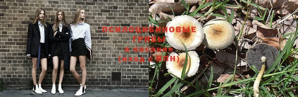 прущий лед Белокуриха