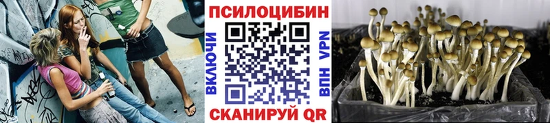 Галлюциногенные грибы ЛСД  Шелехов 